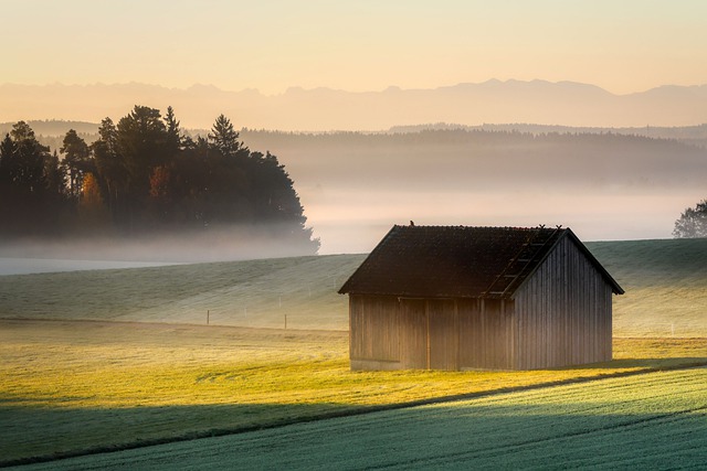 rural